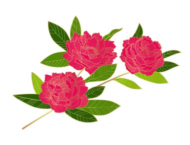 A beautiful blooming branch of red peony flowers. Lush peony buds with a golden outline. Elements for the design of postcards, invitations, etc. Vector illustration on a white background.