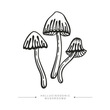 Three toxic magical hallucinogenic mushrooms. Black and white drawing of psilocybin mushrooms. Vector illustration isolated on white background.