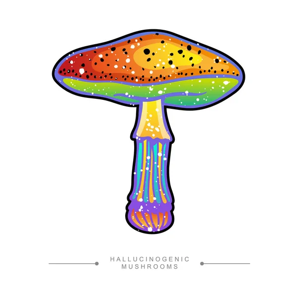 Amazing Drawing Fly Agaric Psilocybin Mushroom Toxic Magical Hallucinogenic Mushroom — Stock vektor