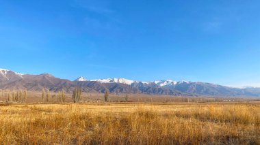 Panorama of blue sky, mountain ranges and yellow grass. Snow-capped mountains, hills and endless steppe. Journey through Kyrgyzstan. Amazing summer landscape. Beautiful nature of Kyrgyzstan.