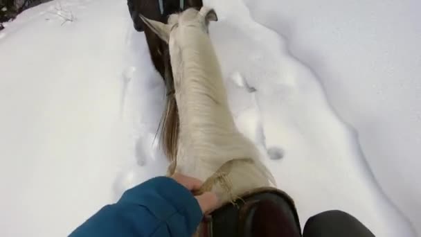 Close Horse Mane Reins His Hand Horseback Riding First Person — Stockvideo