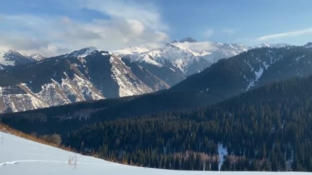Aerial View Beautiful Mountain Ranges Covered Snow Coniferous Forests Walk — Stock video
