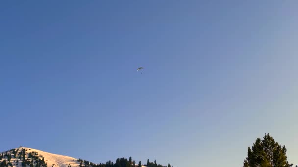 一个滑翔机在雪白的斜坡上飞舞着一个滑翔机 上面长着针叶树 一个长镜头 在吉尔吉斯斯坦卡拉科尔山滑雪基地上空滑行 — 图库视频影像