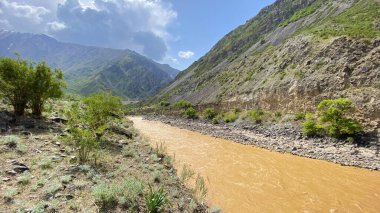 Yeşil bir dağ vadisi manzarası. Kirli, fırtınalı bir nehri olan inanılmaz bir dağ manzarası. Yaz manzarası. Kırgızistan 'ın güzel doğası.