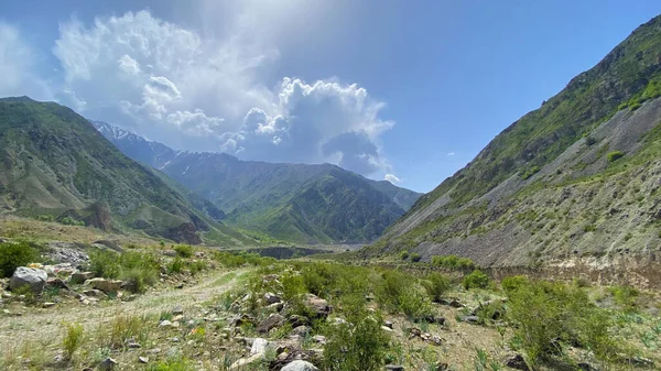 Зелена Долина Гір Дивовижний Гірський Літній Пейзаж Прекрасна Природа Киргизстану — стокове фото