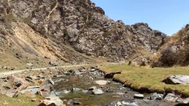 Fırtınalı bir nehri olan pitoresk bir vadi manzarası. Temiz suyla en temiz dağ soğuk deresinin güzel manzarası. Bir inek yeşil çimlerde otluyor. Kırgızistan 'ın inanılmaz doğası.