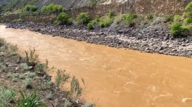 Kirli kahverengi fırtınalı nehri olan bir dağ vadisi manzarası. İnanılmaz bir dağ manzarası. Yeşil tepeler ve kayalık bir sahil.