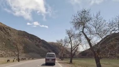 Güzel bir kız bir minivanın çatısından sarkıyor ve akıllı telefonuyla doğayı vuruyor. Mutlu bir kadın kameraya mutlu bir şekilde el sallar. Kırgızistan 'da arabayla seyahat ediyor. Heyecanlı bir dağ yolu macerası.