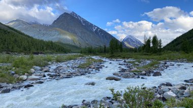 Katun Nehri 'nin bir kolu olan Akkem Nehri' nin güzel manzarası. Belukha 'nın eteklerine doğru yürü. Altai Dağları. İnanılmaz dağ vadisi. Sakin doğal arka plan.