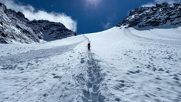 Samotny Alpinista Wspina Się Przełęcz Delaunay Widok Tyłu Wspinaczka Belukha — Zdjęcie stockowe