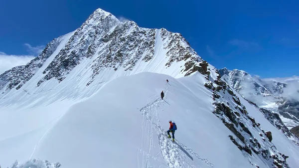 Trzech Wspinaczy Spaceruje Ośnieżonym Zboczu Góry Wspinam Się Belukha Góry — Zdjęcie stockowe
