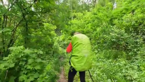 Osamělý Turista Velkým Batohem Kráčí Lesní Stezce Procházka Zeleným Parkem — Stock video