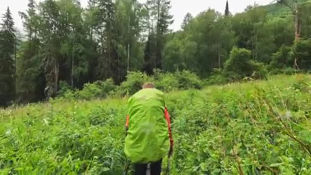 Турист Великим Рюкзаком Йде Брудним Шляхом Пройдіться Через Зелений Ліс — стокове відео