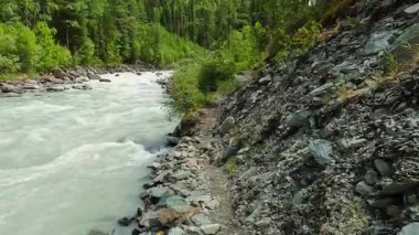 Fırtınalı bir nehrin geçtiği dar kayalık bir dağ yolu boyunca bir orman yürüyüşü. Altai, Rusya 'nın güzel doğası. Belukha 'nın tepesine doğru yürü..