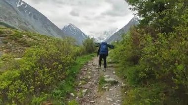 Büyük sırt çantalı bir erkek turist patika boyunca yürüyor. Yeşil parkta yürü, ağaçları, çalıları ve karlı dağları geç. Belukha 'ya tırmanmak. Altai, Rusya 'nın güzel doğası.