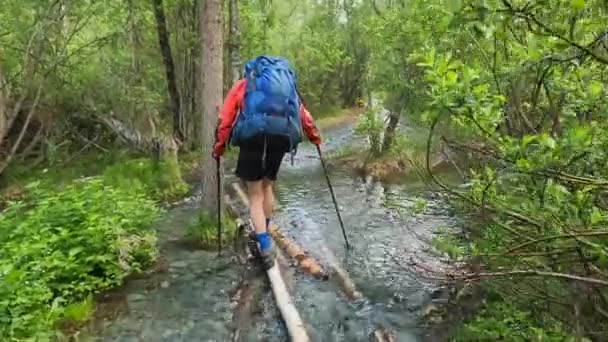 Хлопець Великим Рюкзаком Перетинає Гірську Річку Лісі Колодах Прекрасна Природа — стокове відео