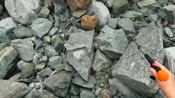 一个带着手杖的徒步旅行者在岩石和大石头上行走 第一眼看到的腿了 爬上Belukha俄罗斯阿尔泰美丽的大自然 — 图库视频影像