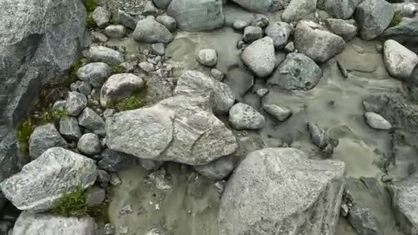 一个带着远足杆子的游客在一条浅浅的山溪中走过岩石 第一眼看到的腿了 爬上Belukha俄罗斯阿尔泰美丽的大自然 — 图库视频影像