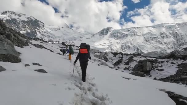大きなバックパックを持つ3人の男性登山者が山の中の雪の歩道に沿って歩いている ベルーカ登山 アルタイ ロシアの美しい自然 — ストック動画