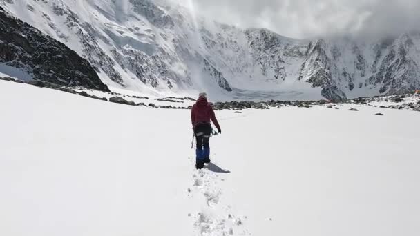 Una Escaladora Camina Por Sendero Nevado Las Montañas Escalando Belukha — Vídeos de Stock