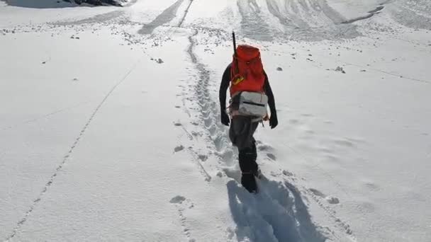 Tall Male Climber Ice Axe Backpack Walks Snowy Trail Back — Stock Video