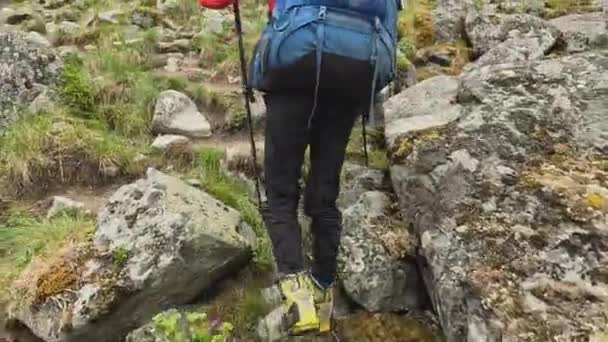 Турист Великим Рюкзаком Йде Скелястій Гірській Стежці Прогулянки Через Зелений — стокове відео