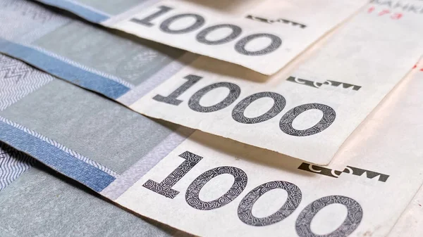 Närbild Del Sedlarna 1000 Kronor Kirgizistans Nationella Valuta Kontantsedlar Tusenlapp — Stockfoto