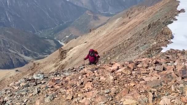 Ein Bergsteiger Mit Großem Rucksack Und Trekkingstöcken Besteigt Den Berg — Stockvideo