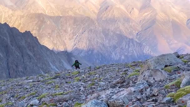 Ένας Τουρίστας Ορειβάτης Ένα Μικρό Σακίδιο Και Κοντάρια Πεζοπορίας Περπατά — Αρχείο Βίντεο
