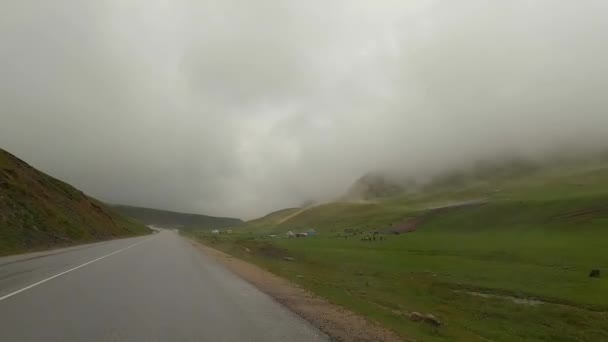 Ομίχλη Στο Δρόμο Κακή Ορατότητα Ταξιδεύοντας Αυτοκίνητο Στο Κιργιστάν Άποψη — Αρχείο Βίντεο