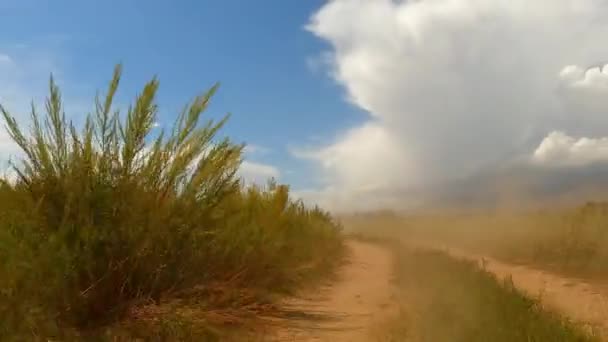 Vista Delle Nuvole Polvere Create Auto Corsa Una Strada Campagna — Video Stock