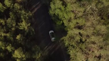 Güzel, modern, beyaz bir araba yeşil ağaçların yanından geçiyor. Kırgızistan 'daki Ala-Archa Ulusal Parkı yolu. Yukarıdan bak. Güzel yaz manzarası. Dağlarda aktif eğlence..