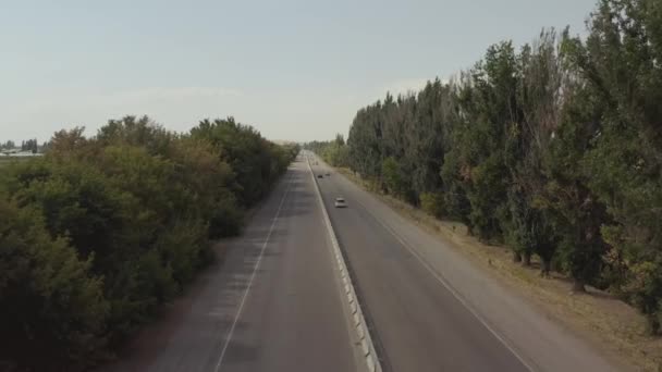 Viajar Coche Kirguistán Los Coches Conducen Largo Camino Asfalto Pasando — Vídeo de stock