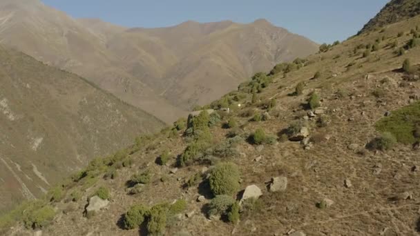 Όμορφη Θέα Των Καταπράσινων Λόφων Κορυφογραμμές Και Μεγαλοπρεπή Βουνά Του — Αρχείο Βίντεο