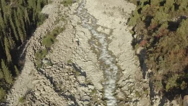 Κάτοψη Του Θυελλώδους Μικρού Ψυχρού Ποταμού Ala Archa Στο Εθνικό — Αρχείο Βίντεο