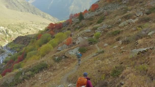 Los Atletas Con Mochilas Grandes Bastones Trekking Caminan Las Estribaciones — Vídeos de Stock