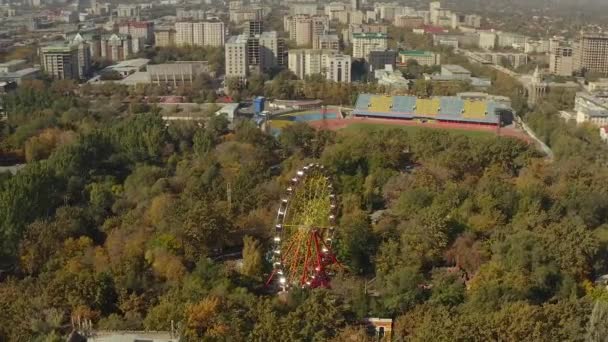 Bishkek Merkezindeki Dönme Dolabın Hava Görüntüsü Güzel Yeşil Pamfilov Parkı — Stok video