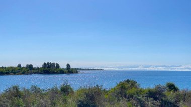 Kırgızistan 'daki güzel mavi dağ gölü Issyk-Kul manzarası. Arka planda birkaç ağaç olan güzel mavi bir okyanus. Gökyüzü açık ve güneş parlıyor..
