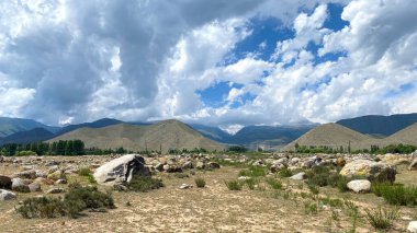 Kırgızistan 'ın dağlık arazisi Issyk-kul Gölü yakınlarında. Birkaç yeşil ağacı ve çalısı olan harika bir kayalık vadi. Issyk-Kul 'daki Petroglyphs Müzesi. Yaz manzarası. Kırgızistan 'da gezinti ve yürüyüş. Seyahat, macera ve turizm.
