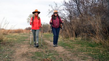İki atletik kadın ormanda yürüyor. Gezinti ve yürüyüş. Seyahat, macera ve özgürlük. Öğrenciler vahşi doğada bir yürüyüş için toplandılar.