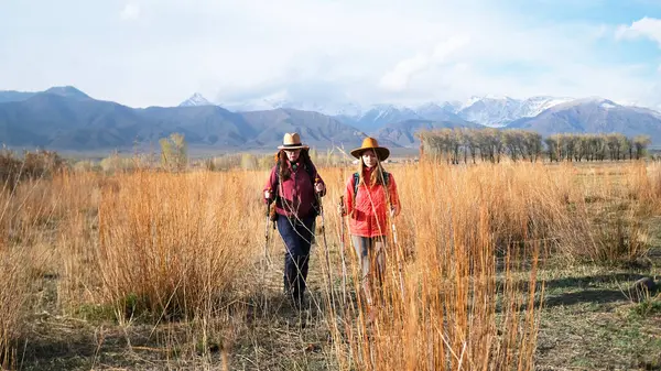 Sonbahar yürüyüşü. İki kız kardeş uzun, kuru sarı çimenler üzerinde yürüyorlar, arka planda dağlar görünüyor. Kız arkadaşlar güzel manzaranın tadını çıkarıyorlar..