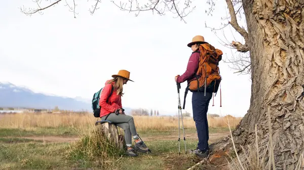 İki yorgun yolcu büyük yaşlı bir ağacın yanında dinlenmek için durdu. İki iyi arkadaş birlikte seyahat ediyor. Turistlerden biri bir ağaç kütüğüne oturdu ve ikincisi onun yanında duruyordu..
