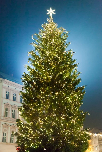 Нічний Вид Високого Барвистого Різдвяного Дерева Старому Міському Майдані Оломоуца — стокове фото