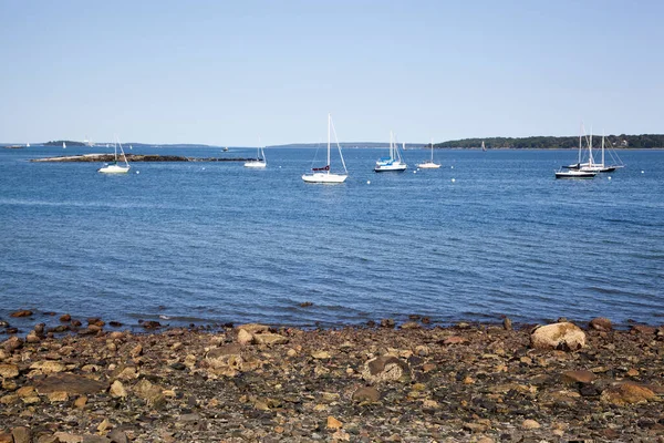 View Rocky Shore Numerous Drifting Yachts Portland City Bay Maine — Stock Photo, Image
