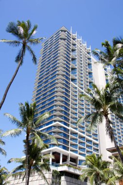 Şehir merkezinde palmiye ağaçlarıyla çevrili modern yerleşim yeri manzarası (Hawaii)).