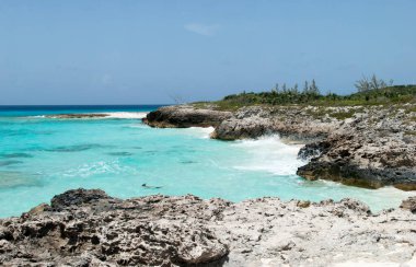 Yarım Ay Cay turistik plajında (Bahamalar) şnorkelle yüzme aktivitesi).