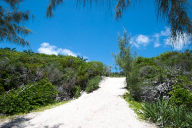 Half Moon Cay turistik adasında (Bahamalar) kumsaldaki güneşli patika yolu).