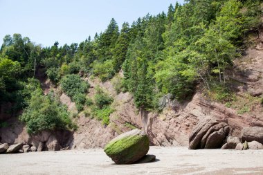 Hopewell Kayalıkları taşra parkında (New Brunswick, Kanada).
