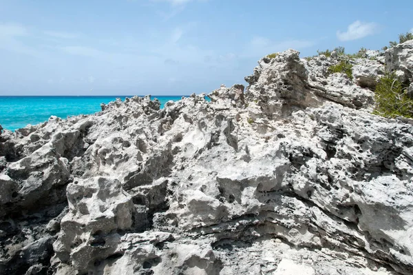 Het Schilderachtige Uitzicht Kustlijn Erodeerde Rotsen Half Moon Cay Onbewoond — Stockfoto
