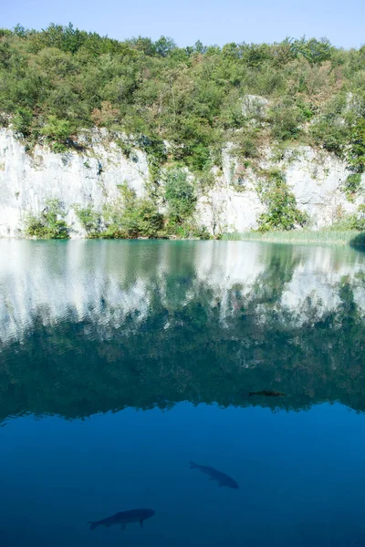 Plitvice Gölleri Ulusal Parkı Nda Hırvatistan — Stok fotoğraf